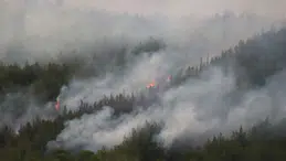 Çanakkale küle dönüyor