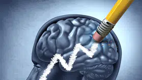 Zihni fark etmeden yoran besinler açıklandı: Aşırı tüketimde odak ve hafıza etkilenebiliyor