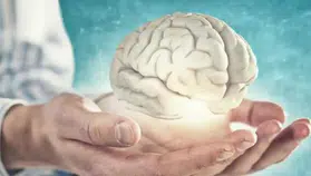 Alzheimer Riskine Karşı Dikkat Çeken Besin: Düzenli Tüketimi Hafızayı Destekleyor!
