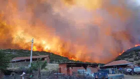 Manisa'da orman yangınlarını önlemek için tedbir alındı
