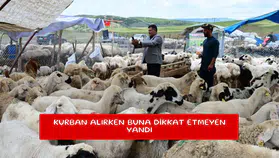 Kurban alırken buna dikkat etmeyen yandı