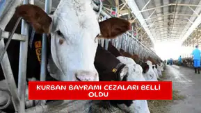 Kurban Bayramı cezaları belli oldu