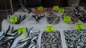Balık tezgâhları yeniden hareketleniyor! Eylül ayında hangi balık alınmalı?