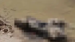 Kayıp olarak aranan 84 yaşındaki kadının cesedi bulundu