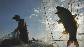 2026 av yasağı başlıyor: Kıyı balıkçılığı serbest mi, hangi türlerde özel yasak var?