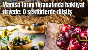 Manisa tarım ihracatı zirvede