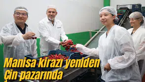 MANİSA KİRAZI YENİDEN ÇİN PAZARINDA