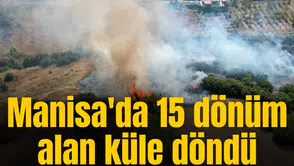 Manisa'da 15 dönüm alan küle döndü