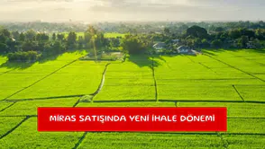 Miras satışında yeni ihale dönemi