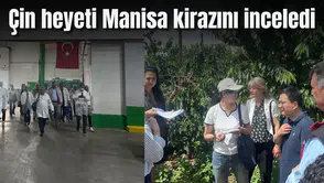 Çin heyeti Manisa kirazını inceledi
