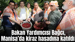 Bakan Yardımcısı Bağcı, Manisa’da kiraz hasadına katıldı