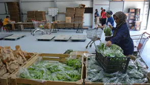 Yerel üretimi dijital pazara taşıdı, 70 kişiye ekmek kapısı oldu
