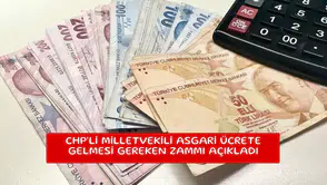 CHP'li milletvekili asgari ücrete gelmesi gereken zammı açıkladı