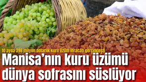 Manisa’nın kuru üzümü dünya sofrasını süslüyor