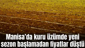 Kuru üzümde yeni sezon başlamadan fiyatlar düştü