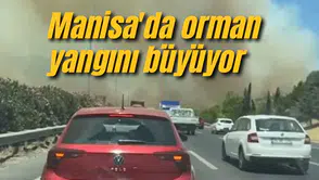 Manisa'da orman yangını büyüyor