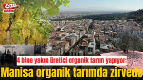 Manisa organik tarımda zirvede