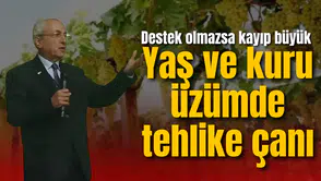 Yaş ve kuru üzümde tehlike çanı: Destek olmazsa kayıp büyük