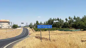 Kedi tarafından ısırıldı entübe edildi