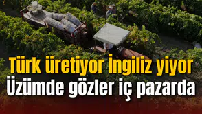 Türk üretiyor İngiliz yiyor: Üzümde gözler iç pazarda