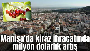 Manisa'da kiraz ihracatında milyon dolarlık artış