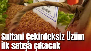 Sultani Çekirdeksiz Üzüm ilk satışa çıkacak