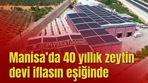 Manisa’da 40 yıllık zeytin devi iflasın eşiğinde
