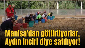 Manisa'dan götürüyorlar, Aydın inciri diye satılıyor!