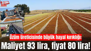 Üzüm üreticisinde büyük hayal kırıklığı: Maliyet 93 lira, fiyat 80 lira!