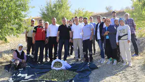 Demirci’de hasat heyecanı: Badem ve Antep fıstığı tarlalarında inceleme