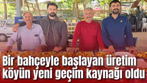 Bir bahçeyle başlayan üretim köyün yeni geçim kaynağı oldu
