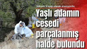 Vahşet: Yaşlı adamın cesedi parçalanmış halde bulundu