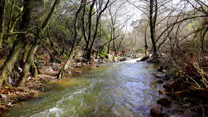 Kuruyan dereler şiddetli yağmurlarda yeniden hayat buldu