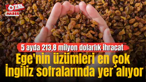 Ege'nin üzümleri en çok İngiliz sofralarında yer alıyor