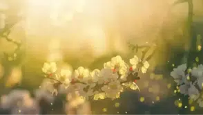 Cemre ne zaman düşecek? Cemre takvimi! 2026 cemre takvimi açıklandı