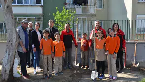 Manisa'da ilk kez okul bahçelerine asma dikildi