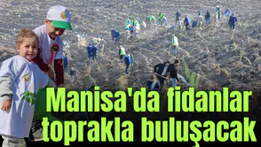 Manisa'da fidanlar toprakla buluşacak