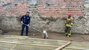 İnşaat çukuruna düşmüştü, itfaiye kurtardı