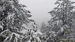 Mart bitmeden Demirci'ye kar sürprizi