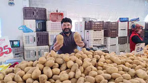 Bu patateslerin bir tanesi 1 kilo geliyor