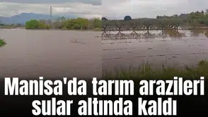 Manisa'da tarım arazileri sular altında kaldı