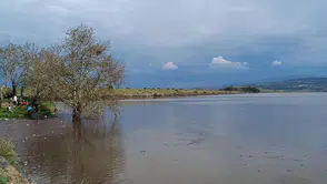 Yağışlar sonrası Manisalı çiftçinin yüzü güldü