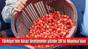 Türkiye’nin kiraz üretiminin yüzde 20’si Manisa’dan