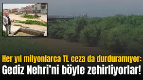 Her yıl milyonlarca TL ceza da durduramıyor: Gediz Nehri’ni böyle zehirliyorlar!