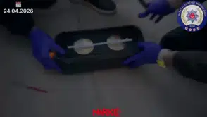 Müzik kutusundan çıkanlar şok etti