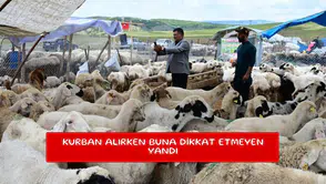 Kurban alırken buna dikkat etmeyen yandı