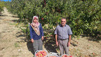 Doğal ürünleri birlikte üretiyor, pazarda birlikte satıyorlar