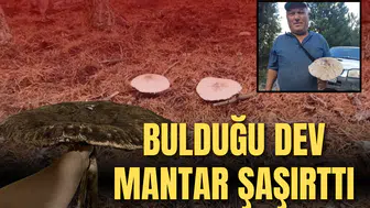 DEV MANTAR KARŞISINDA ŞOK OLDU