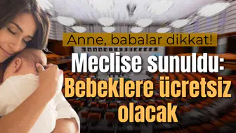 Meclis'e sunuldu! Bebeklere ücretsiz olacak!