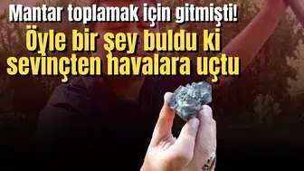 Mantar toplamak için gitmişti! Öyle bir şey buldu ki sevinçten havalara uçtu